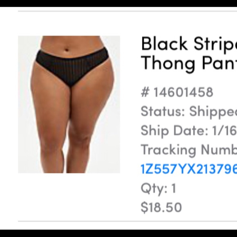 Torrid brand new